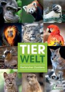 Vorschaubild PDF